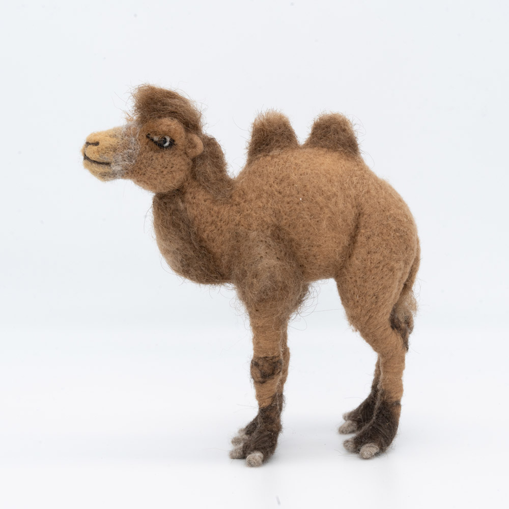 Cuddly camel clearance